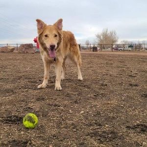 Meet your Posher, Jacob